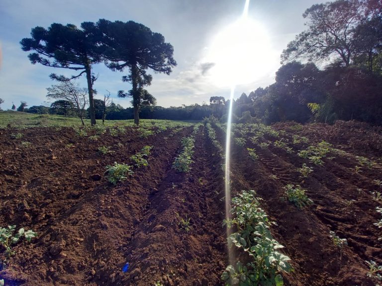 B-854 ÁREA DE TERRAS EM SANTA MARIA DO HERVAL PRÓXIMA A GRAMADO