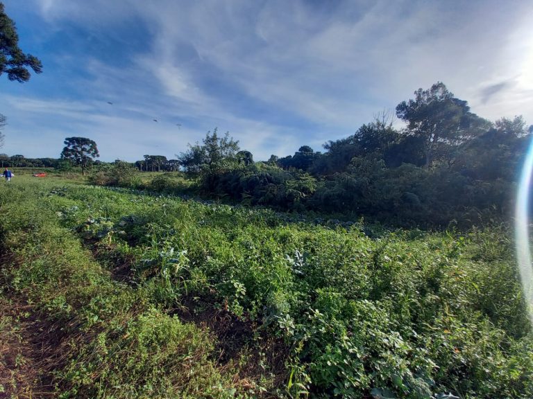 B-854 ÁREA DE TERRAS EM SANTA MARIA DO HERVAL PRÓXIMA A GRAMADO