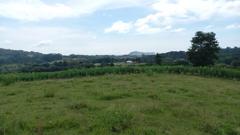 B-853 CHÁCARA EM GRAMADO