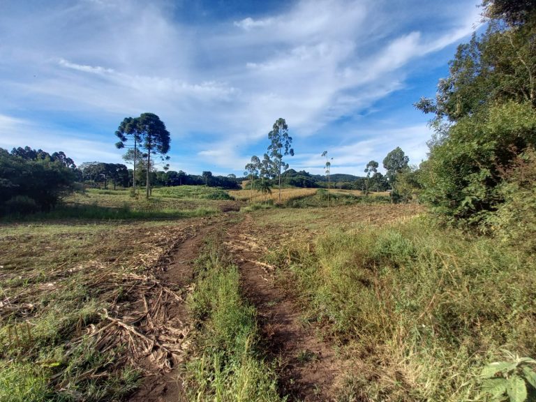 B-854 ÁREA DE TERRAS EM SANTA MARIA DO HERVAL PRÓXIMA A GRAMADO