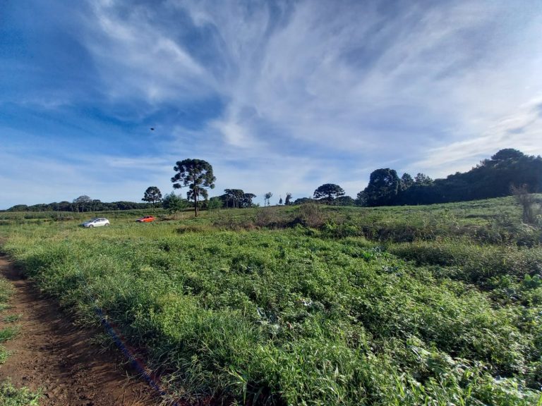 B-854 ÁREA DE TERRAS EM SANTA MARIA DO HERVAL PRÓXIMA A GRAMADO