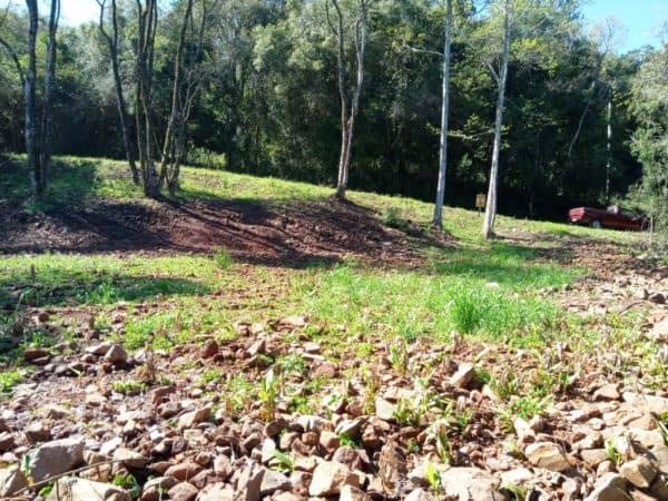 B-12     TERRENO DE MEIO HECTARE AO LADO DO NOWLAND DE GRAMADO POR UM PREÇO IMPERDÍVEL!!!