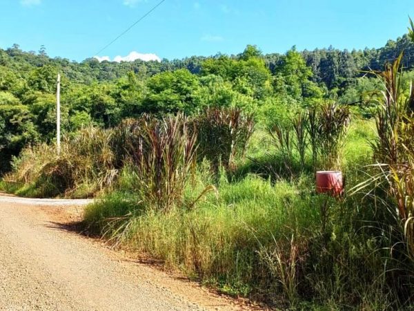 B-566     ÁREA DE TERRAS COM DUAS FRENTES E FANTÁSTICA VISTA PANORÂMICA!!!