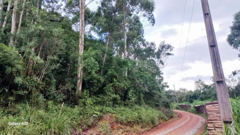 B-508     ÁREA DE TERRAS COM LINDÍSSIMA VISTA PANORÂMICA!!!