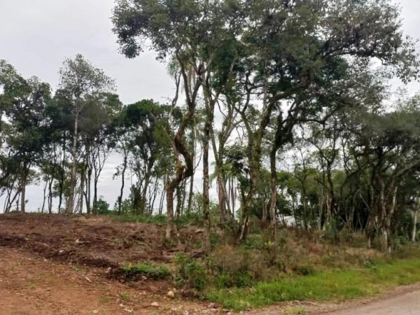 B-44     TERRENO COMPLETAMENTE PLANO, PRONTO PRA CONSTRUIR!!!
