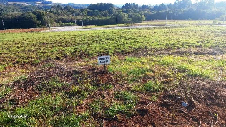 B-59     LOTEAMENTO RESIDENCIAL JARDIM DO PINHAL
