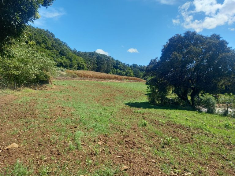 B-855 LINDO SÍTIO EM SANTA MARIA DO HERVAL