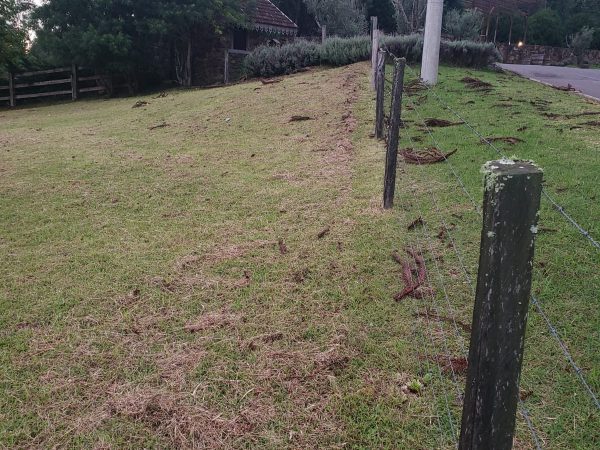 B-852 TERRENO EM GRAMADO