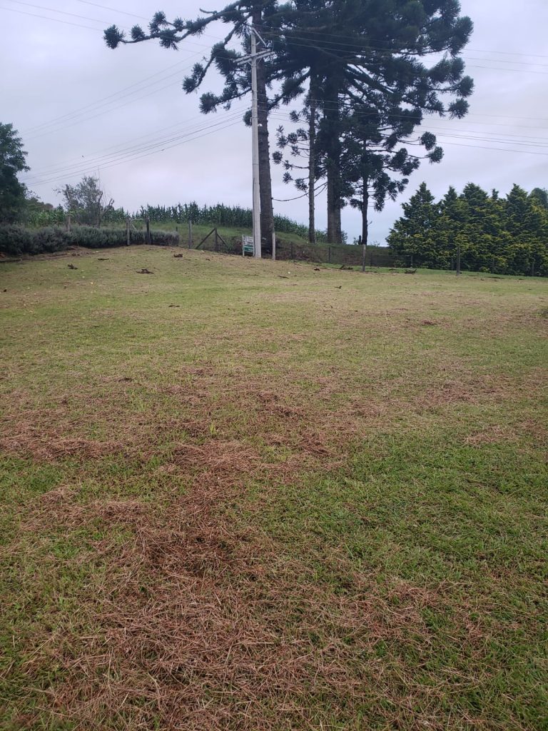 B-852 TERRENO EM GRAMADO