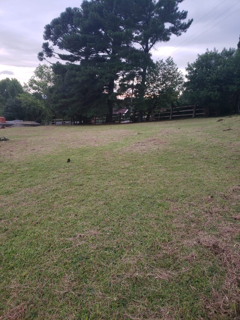 B-852 TERRENO EM GRAMADO