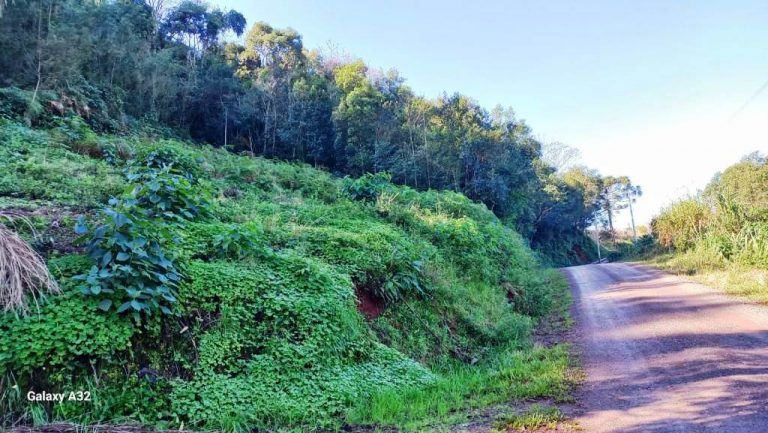 B-567     ÁREA DE TERRAS COM LINDA VISTA PANORÂMICA!!!