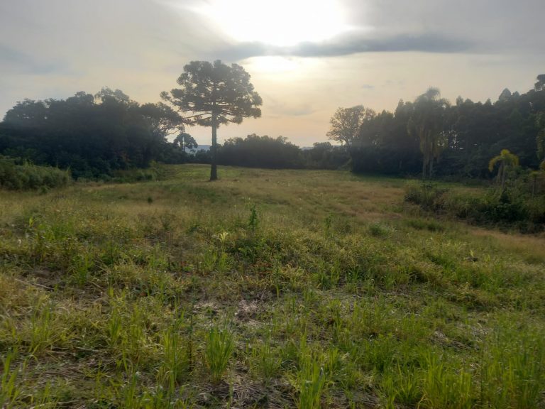 B-476 SÍTIO EM SANTA MARIA DO HERVAL COM 26 HECTARES