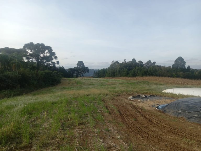 B-476 SÍTIO EM SANTA MARIA DO HERVAL COM 26 HECTARES