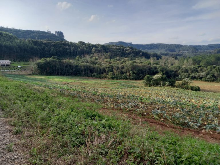 B-476 SÍTIO EM SANTA MARIA DO HERVAL COM 26 HECTARES