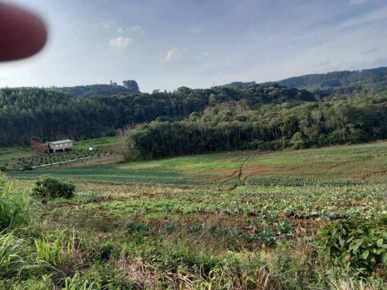 B-476 SÍTIO EM SANTA MARIA DO HERVAL COM 26 HECTARES