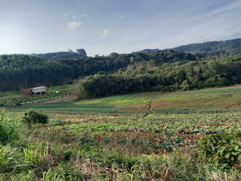 B-476 SÍTIO EM SANTA MARIA DO HERVAL COM 26 HECTARES