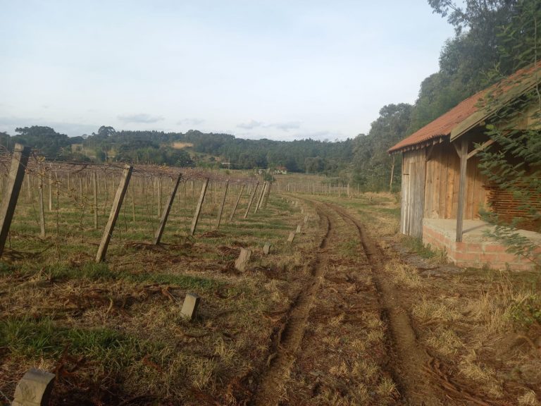 B-476 SÍTIO EM SANTA MARIA DO HERVAL COM 26 HECTARES