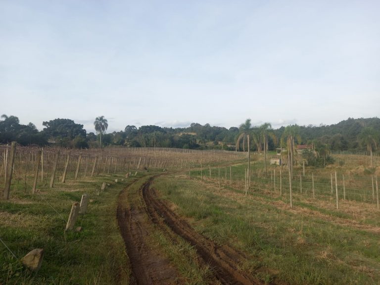 B-476 SÍTIO EM SANTA MARIA DO HERVAL COM 26 HECTARES