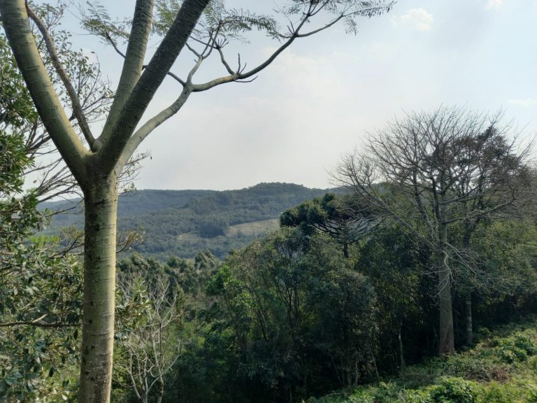 B-751 EXUBERANTE CHÁCARA EM MORRO REUTER