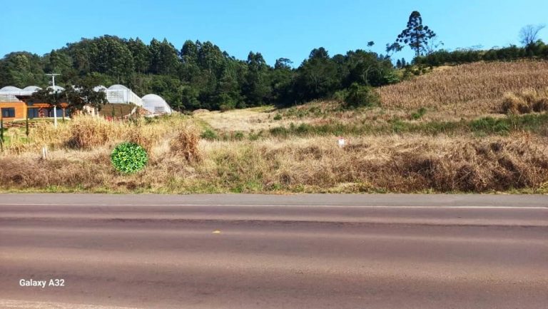 B-539     FANTÁSTICA ÁREA DE TERRAS COM FRENTE PARA RS 235, PRÓXIMO À GRAMADO!!!