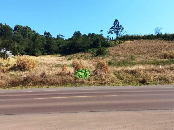 B-539     FANTÁSTICA ÁREA DE TERRAS COM FRENTE PARA RS 235, PRÓXIMO À GRAMADO!!!
