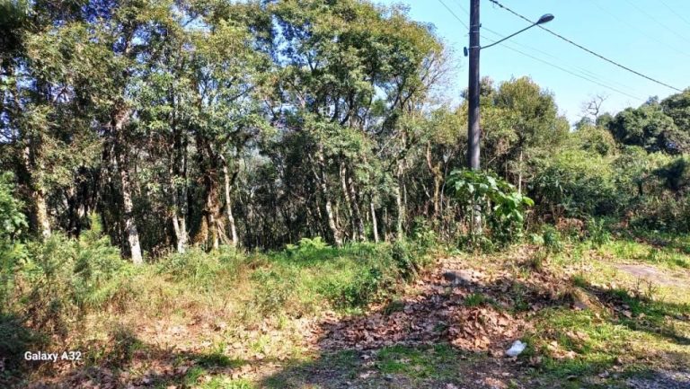 B-129     ENORME TERRENO EM GRAMADO POR PREÇO IMPERDÍVEL!!!