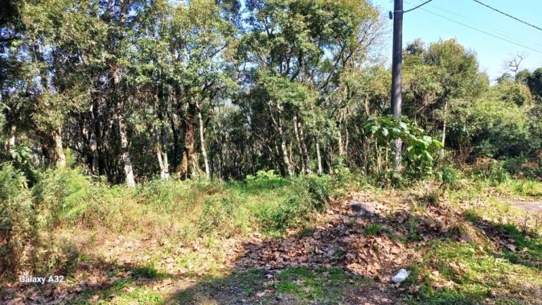 B-129     ENORME TERRENO EM GRAMADO POR PREÇO IMPERDÍVEL!!!