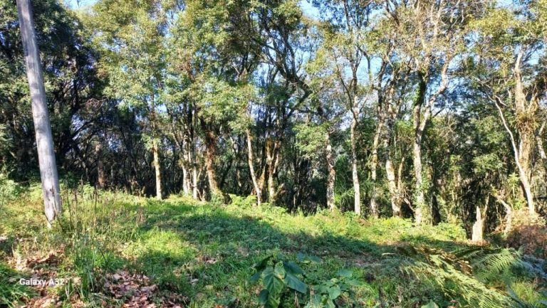 B-129     ENORME TERRENO EM GRAMADO POR PREÇO IMPERDÍVEL!!!