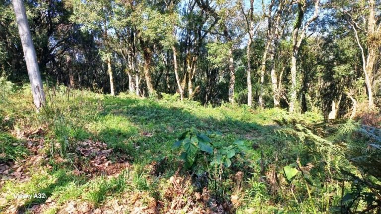 B-129     ENORME TERRENO EM GRAMADO POR PREÇO IMPERDÍVEL!!!