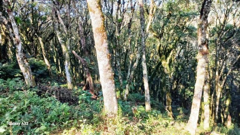 B-129     ENORME TERRENO EM GRAMADO POR PREÇO IMPERDÍVEL!!!