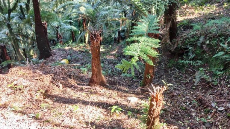 B-129     ENORME TERRENO EM GRAMADO POR PREÇO IMPERDÍVEL!!!