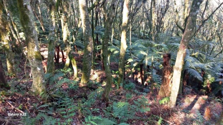 B-129     ENORME TERRENO EM GRAMADO POR PREÇO IMPERDÍVEL!!!