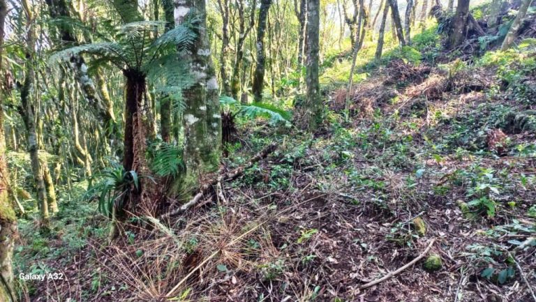 B-129     ENORME TERRENO EM GRAMADO POR PREÇO IMPERDÍVEL!!!
