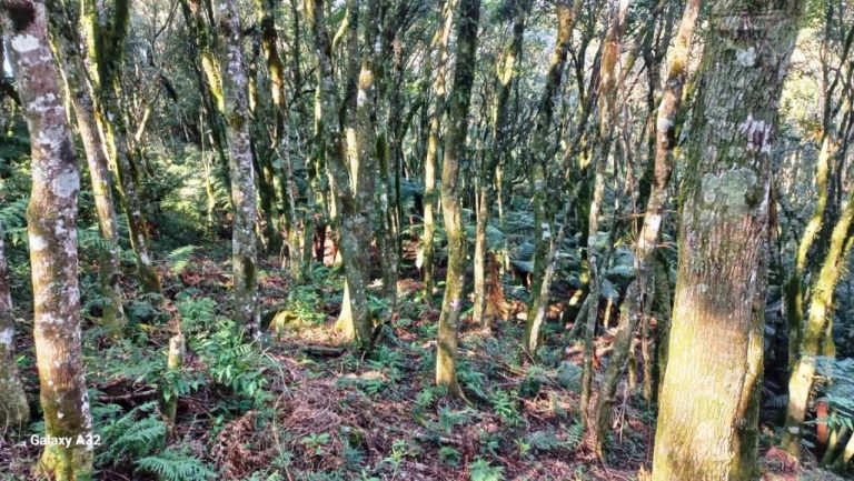 B-129     ENORME TERRENO EM GRAMADO POR PREÇO IMPERDÍVEL!!!