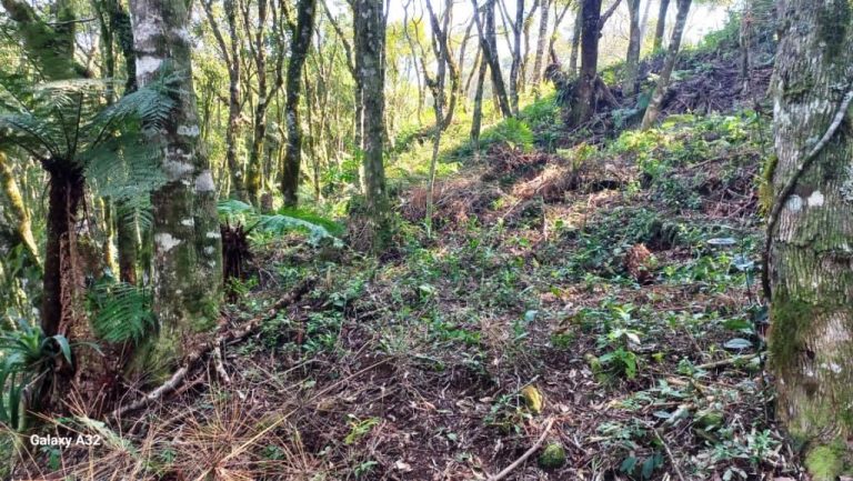 B-129     ENORME TERRENO EM GRAMADO POR PREÇO IMPERDÍVEL!!!