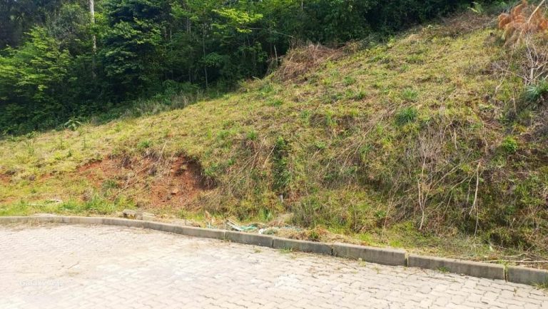 B-07     TERRENO ENORME POR PREÇO SEM IGUAL EM NOVA PETRÓPOLIS!!!
