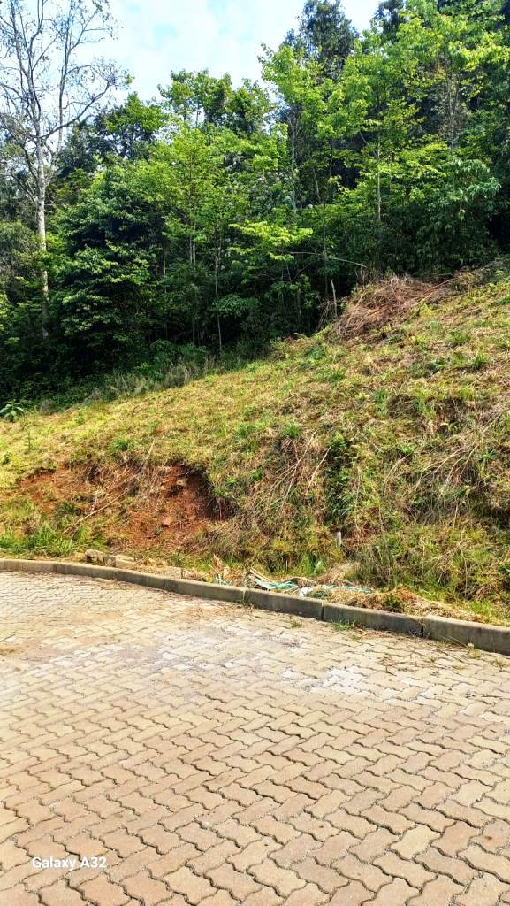 B-07     TERRENO ENORME POR PREÇO SEM IGUAL EM NOVA PETRÓPOLIS!!!