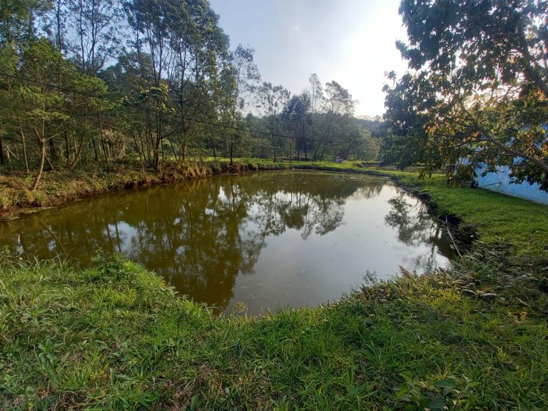 B-753 SÍTIO EM NOVA PETRÓPOLIS – SERRA GAÚCHA (LINHA OLINDA)