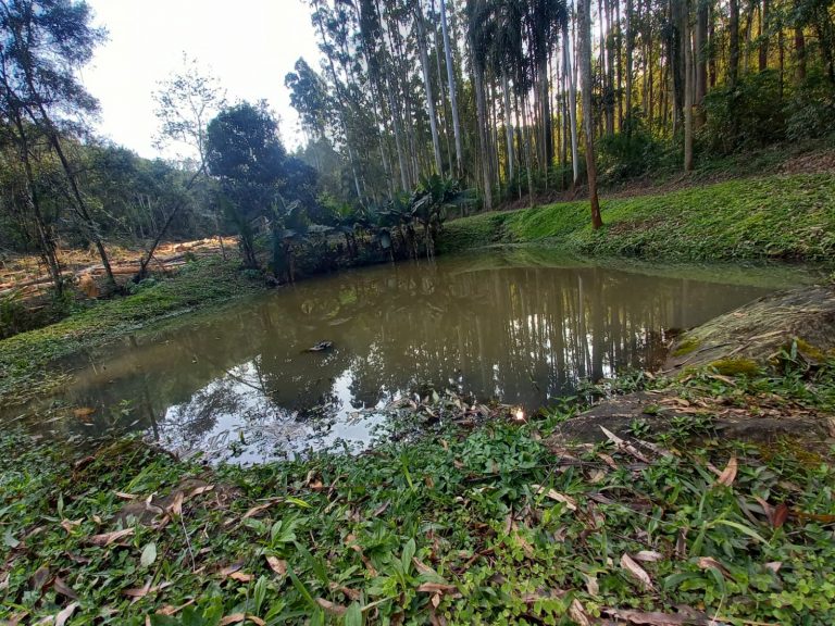 B-752 LINDO SÍTIO EM NOVA PETRÓPOLIS
