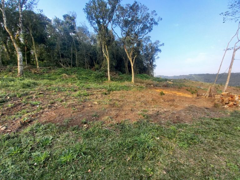 B-753 SÍTIO EM NOVA PETRÓPOLIS – SERRA GAÚCHA (LINHA OLINDA)