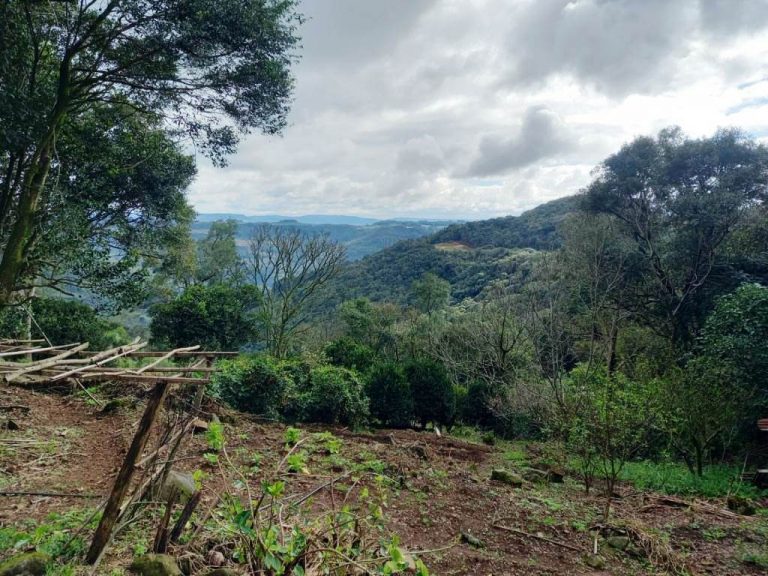 B-82     AMPLO TERRENO EM MORRO REUTER COM LINDÍSSIMA VISTA PANORÂMICA!!!