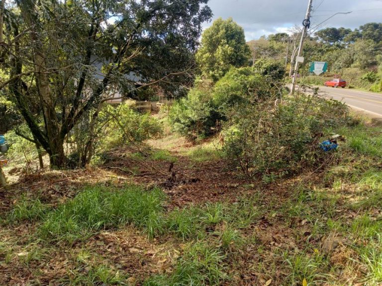 B-82     AMPLO TERRENO EM MORRO REUTER COM LINDÍSSIMA VISTA PANORÂMICA!!!