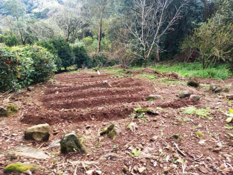 B-82     AMPLO TERRENO EM MORRO REUTER COM LINDÍSSIMA VISTA PANORÂMICA!!!