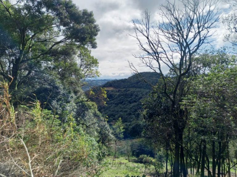 B-82     AMPLO TERRENO EM MORRO REUTER COM LINDÍSSIMA VISTA PANORÂMICA!!!