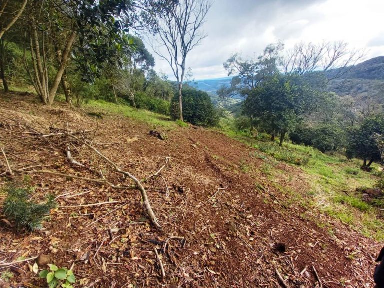 B-82     AMPLO TERRENO EM MORRO REUTER COM LINDÍSSIMA VISTA PANORÂMICA!!!