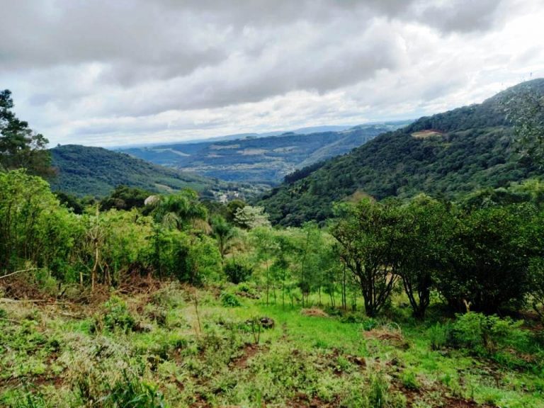 B-82     AMPLO TERRENO EM MORRO REUTER COM LINDÍSSIMA VISTA PANORÂMICA!!!