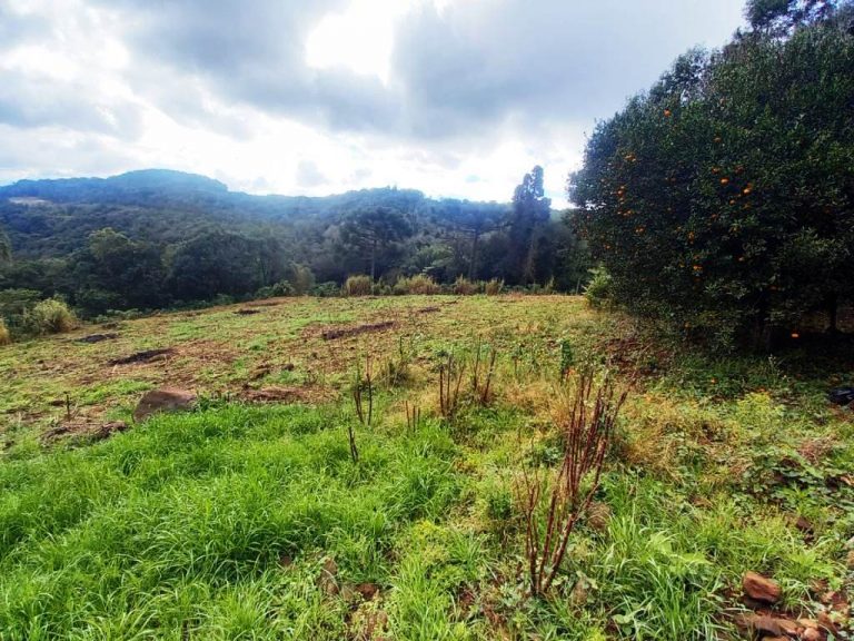 B-82     AMPLO TERRENO EM MORRO REUTER COM LINDÍSSIMA VISTA PANORÂMICA!!!