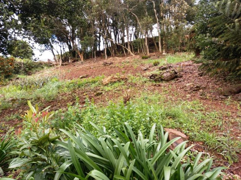 B-82     AMPLO TERRENO EM MORRO REUTER COM LINDÍSSIMA VISTA PANORÂMICA!!!