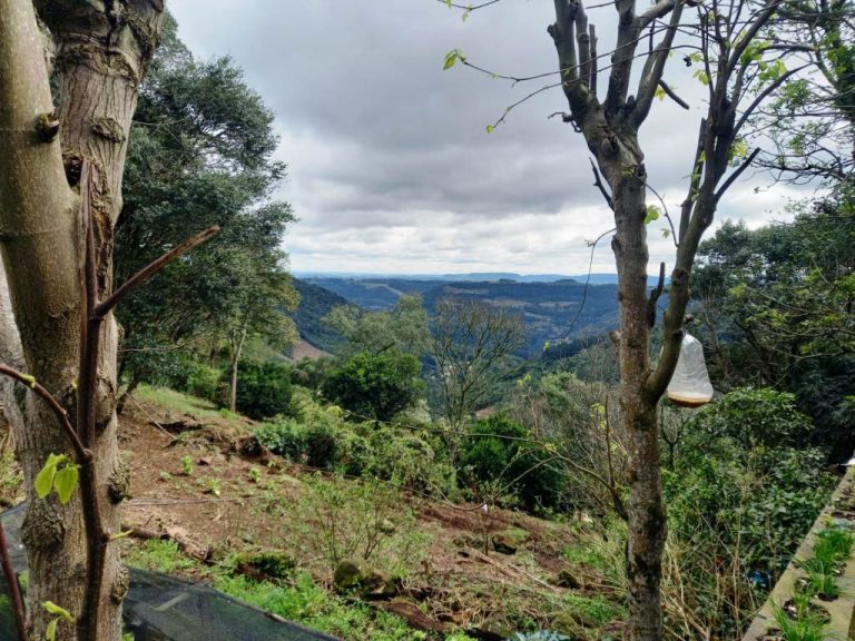 B-82     AMPLO TERRENO EM MORRO REUTER COM LINDÍSSIMA VISTA PANORÂMICA!!!