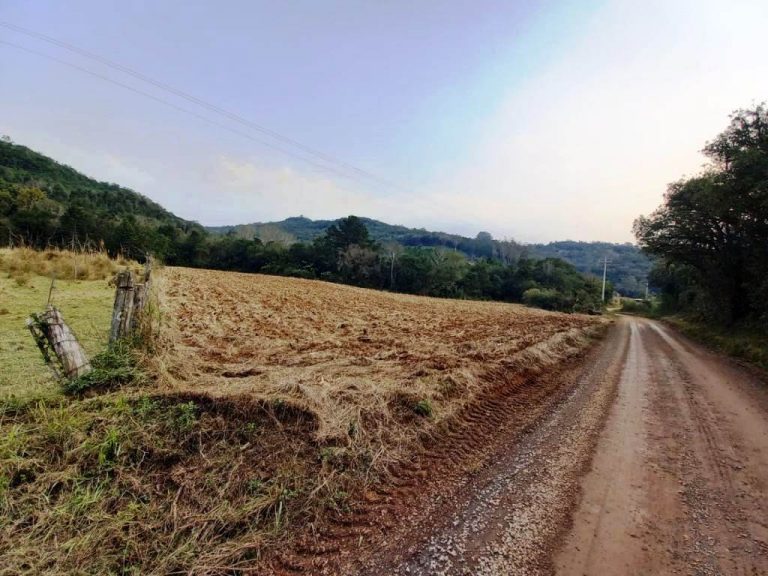 B-594     EXCELENTE ÁREA DE TERRAS EM SANTA MARIA DO HERVAL!!!
